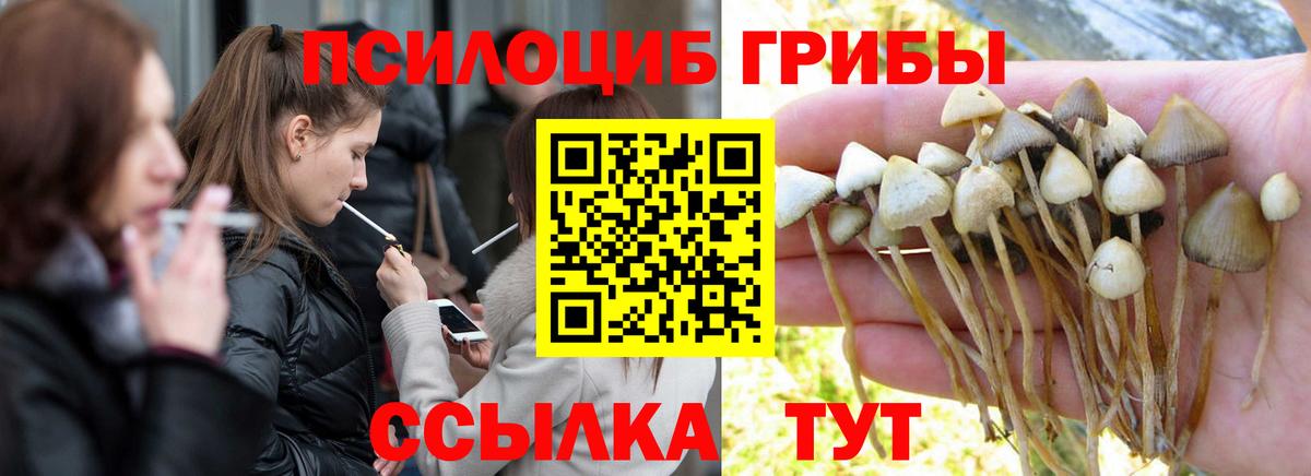 Нальчик  Галлюциногенные грибы GOLDEN TEACHER  Галлюциногенные грибы MAGIC MUSHROOMS  Вход с VPN 